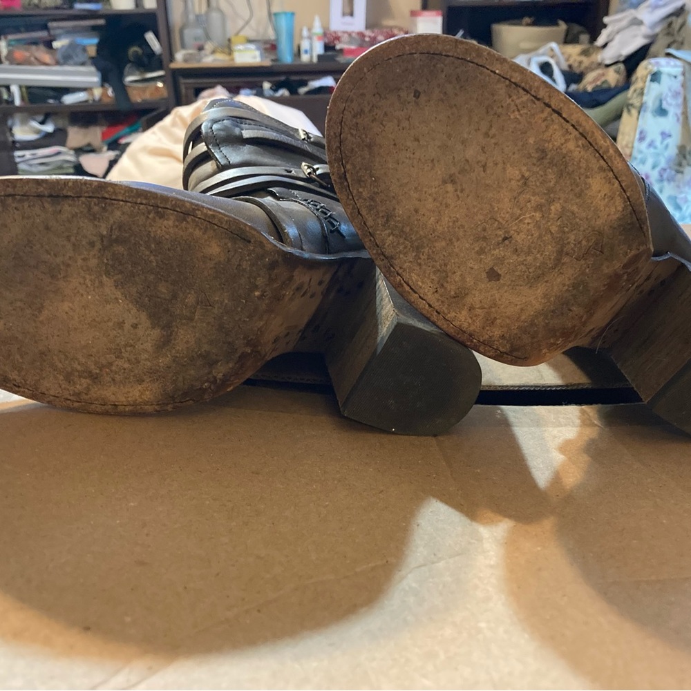 Freebird By Steven Baker - Picture 5 of 6